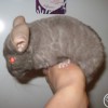 без имени