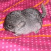Наоми