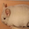 Малу