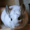 Снежинка