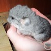 Без имени