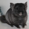 Каюна ОК