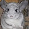 Семен