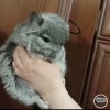 Оливия