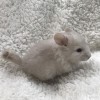 Кофе