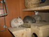 нас много