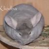 Соната