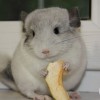Наум