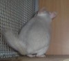 3,5 мес
