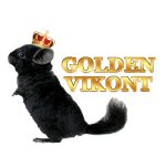 Golden Vikont